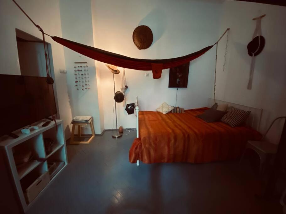 Playground Lejlighed Cluj-Napoca Eksteriør billede