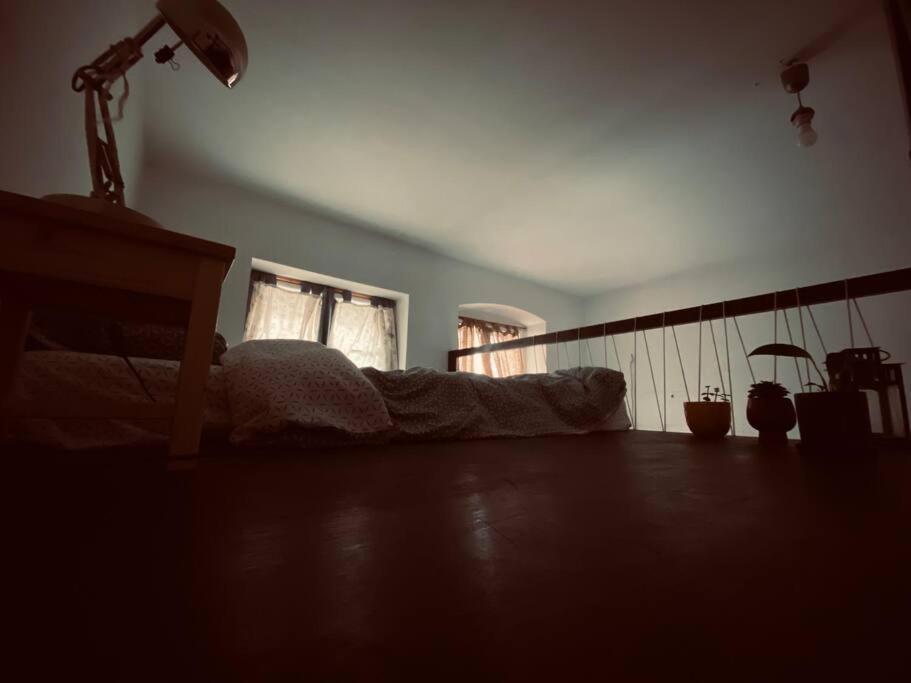 Playground Lejlighed Cluj-Napoca Eksteriør billede